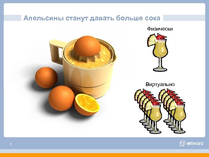 Апельсины станут давать больше сока Физически Виртуально 8 