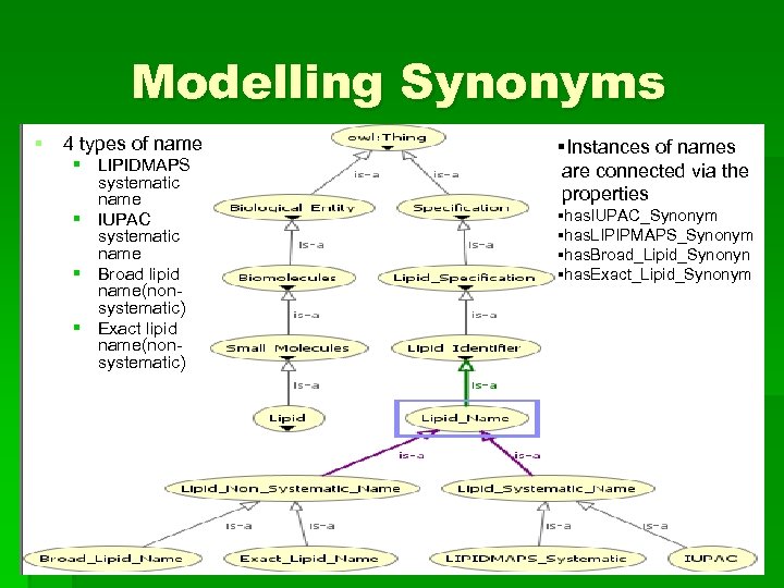 Modelling Synonyms § 4 types of name § LIPIDMAPS systematic name § IUPAC systematic