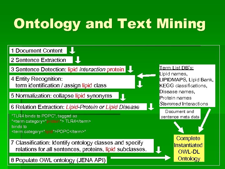 Ontology and Text Mining 1 Document Content 2 Sentence Extraction 3 Sentence Detection: lipid