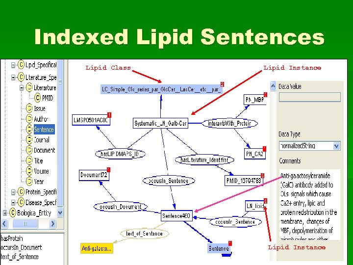 Indexed Lipid Sentences Lipid Class Lipid Instance 