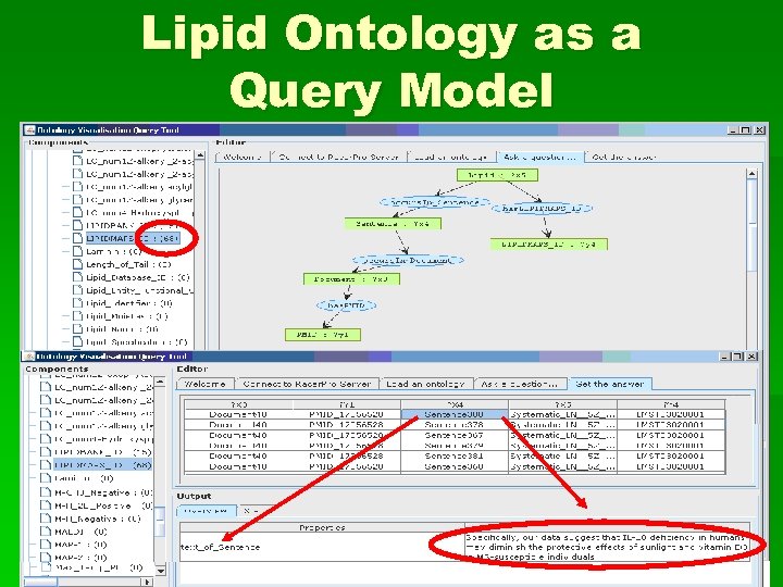 Lipid Ontology as a Query Model 