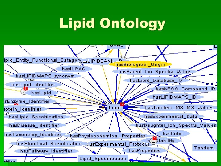 Lipid Ontology 