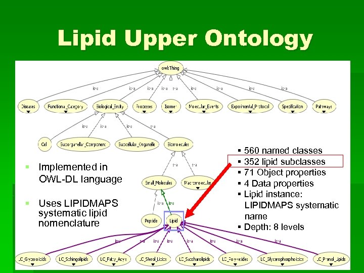 Lipid Upper Ontology § Implemented in OWL-DL language § Uses LIPIDMAPS systematic lipid nomenclature