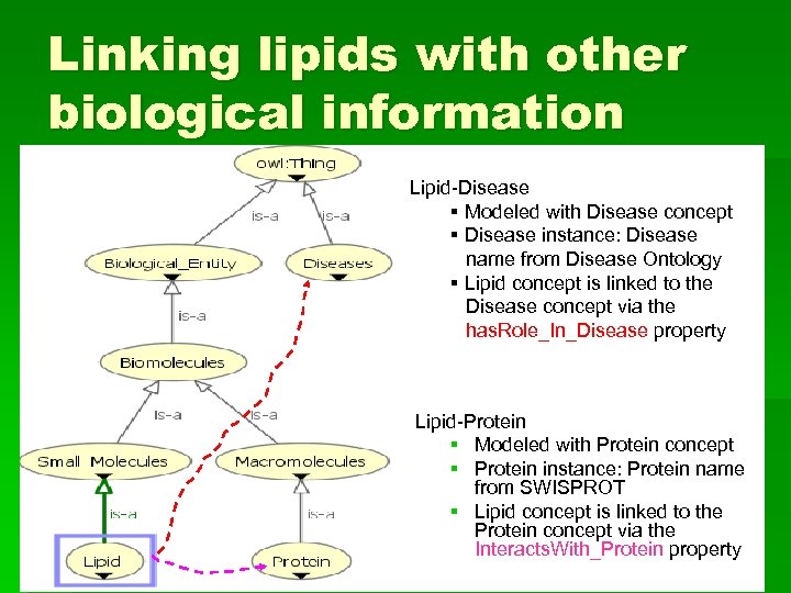 Linking lipids with other biological information Lipid-Disease § Modeled with Disease concept § Disease