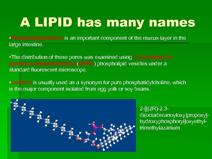 A LIPID has many names • Phosphatidylcholine is an important component of the mucus