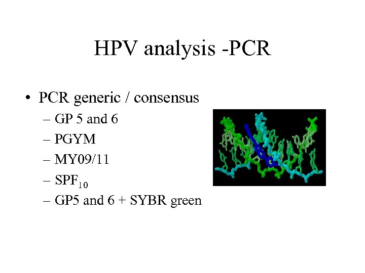 HPV analysis -PCR • PCR generic / consensus – GP 5 and 6 –