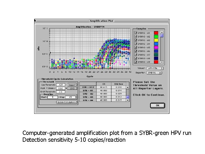 Computer-generated amplification plot from a SYBR-green HPV run Detection sensitivity 5 -10 copies/reaction 