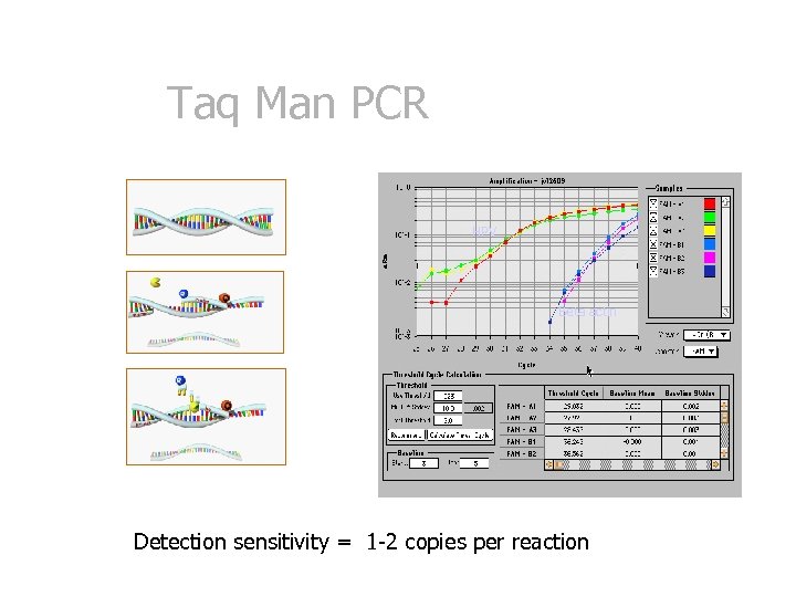 Taq Man PCR HPV Beta actin Detection sensitivity = 1 -2 copies per reaction