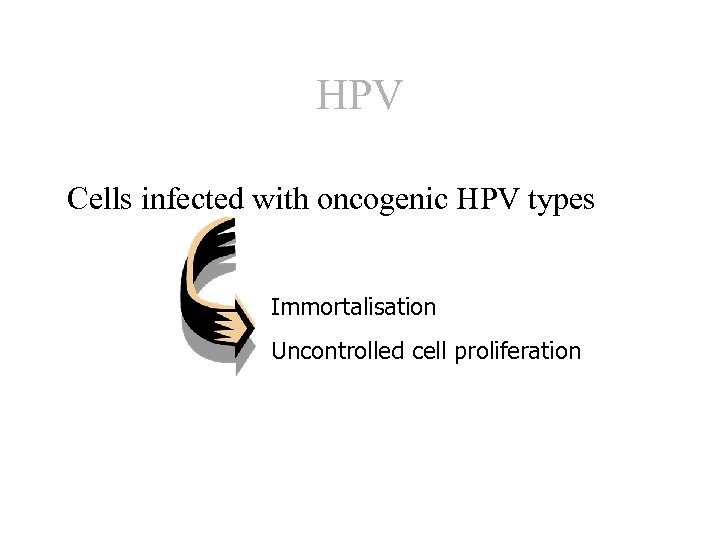 HPV Cells infected with oncogenic HPV types Immortalisation Uncontrolled cell proliferation 