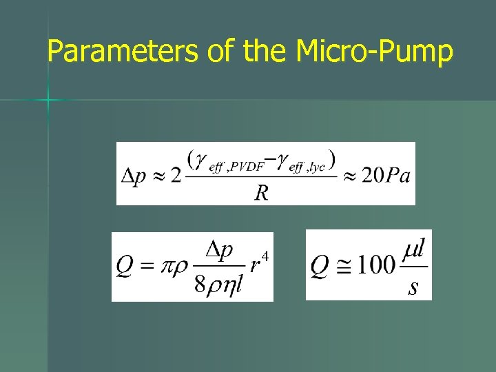 Parameters of the Micro-Pump 