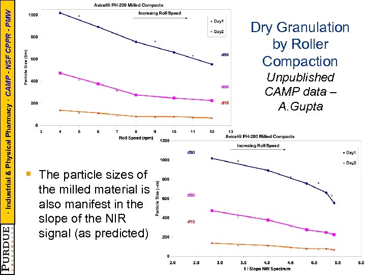 · Industrial & Physical Pharmacy · CAMP - NSF CPPR - PMW Dry Granulation
