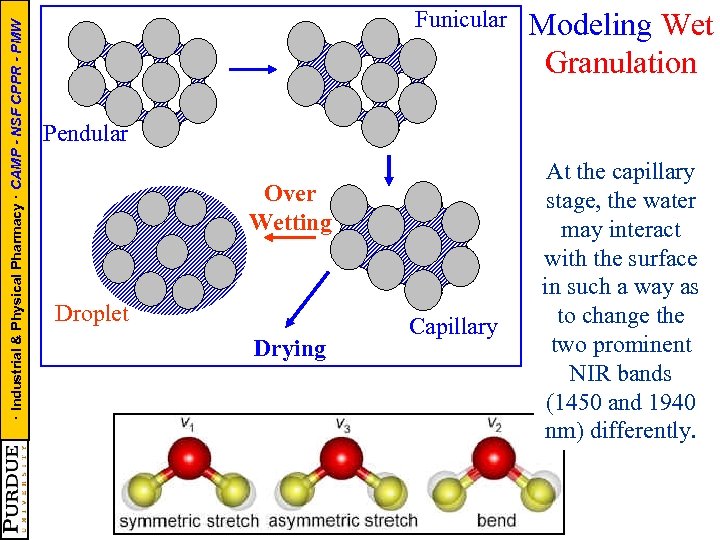 · Industrial & Physical Pharmacy · CAMP - NSF CPPR - PMW Funicular Modeling