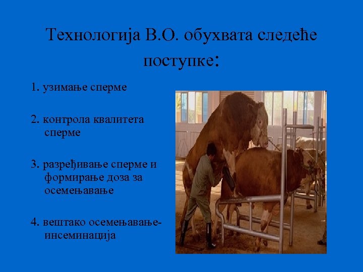 Технологија В. О. обухвата следеће поступке: 1. узимање сперме 2. контрола квалитета сперме 3.