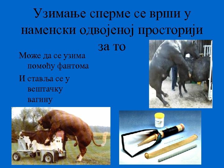 Узимање сперме се врши у наменски одвојеној просторији за то Може да се узима