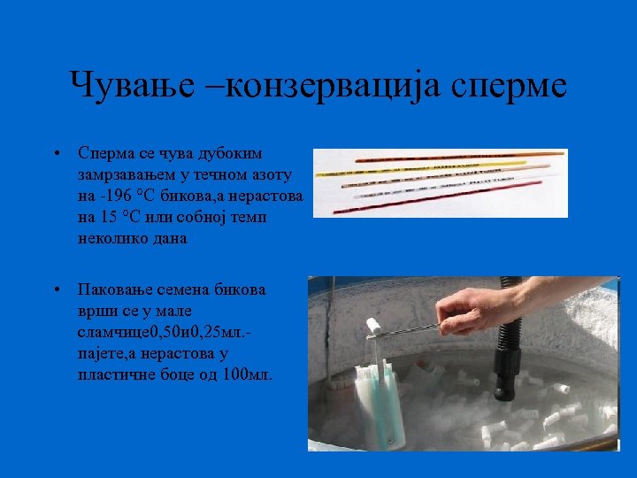 Чување –конзервација сперме • Сперма се чува дубоким замрзавањем у течном азоту на -196