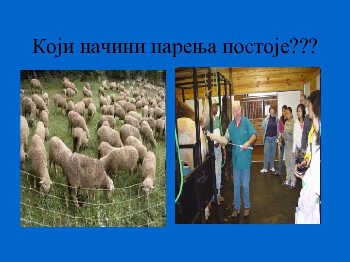 Који начини парења постоје? ? ? 