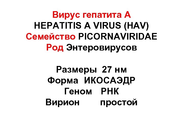 Вирус гепатита А HEPATITIS A VIRUS (HAV) Семейство PICORNAVIRIDAE Род Энтеровирусов Размеры 27 нм
