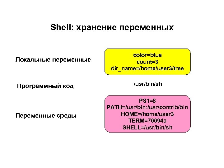 Shell: хранение переменных Локальные переменные color=blue count=3 dir_name=/home/user 3/tree Программный код /usr/bin/sh Переменные среды