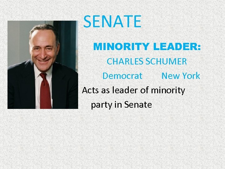 SENATE MINORITY LEADER: CHARLES SCHUMER Democrat New York Acts as leader of minority party