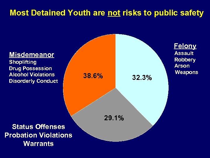 Most Detained Youth are not risks to public safety Felony Misdemeanor Shoplifting Drug Possession