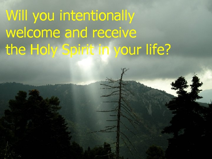 Will you intentionally welcome and receive the Holy Spirit in your life? 