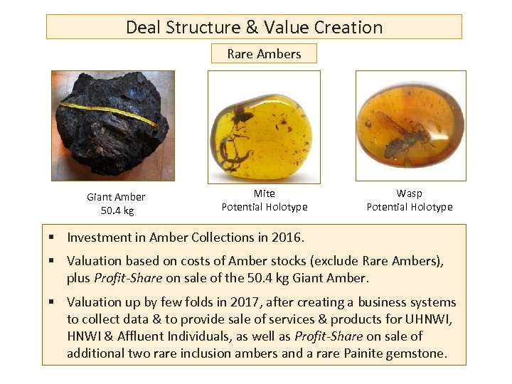Deal Structure & Value Creation Rare Ambers Giant Amber 50. 4 kg Mite Potential