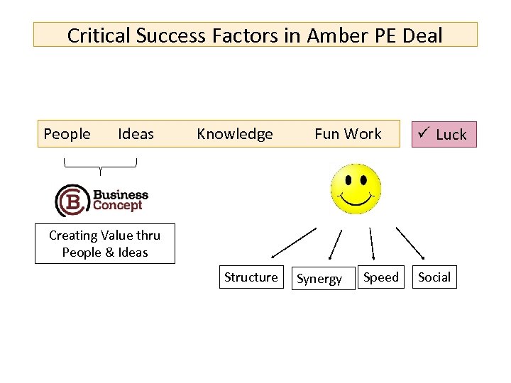 Critical Success Factors in Amber PE Deal People Ideas Knowledge Fun Work ü Luck