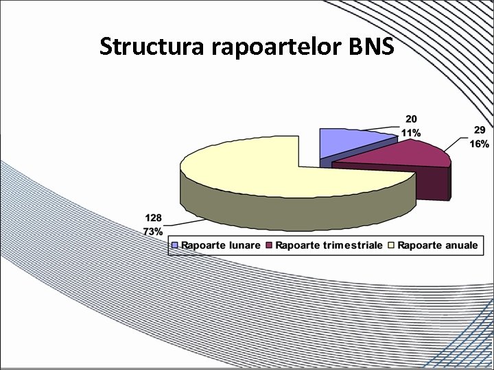 Structura rapoartelor BNS 