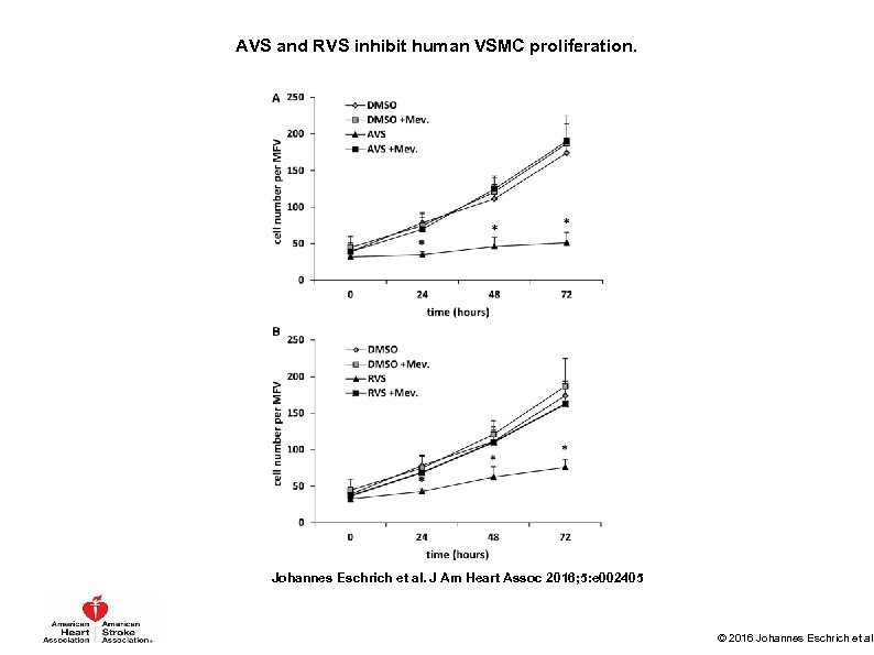 AVS and RVS inhibit human VSMC proliferation. Johannes Eschrich et al. J Am Heart