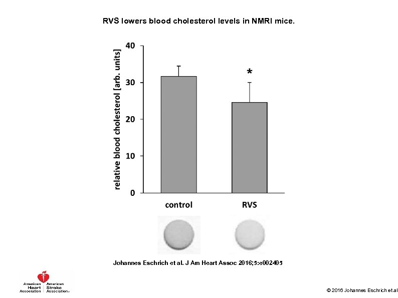 RVS lowers blood cholesterol levels in NMRI mice. Johannes Eschrich et al. J Am