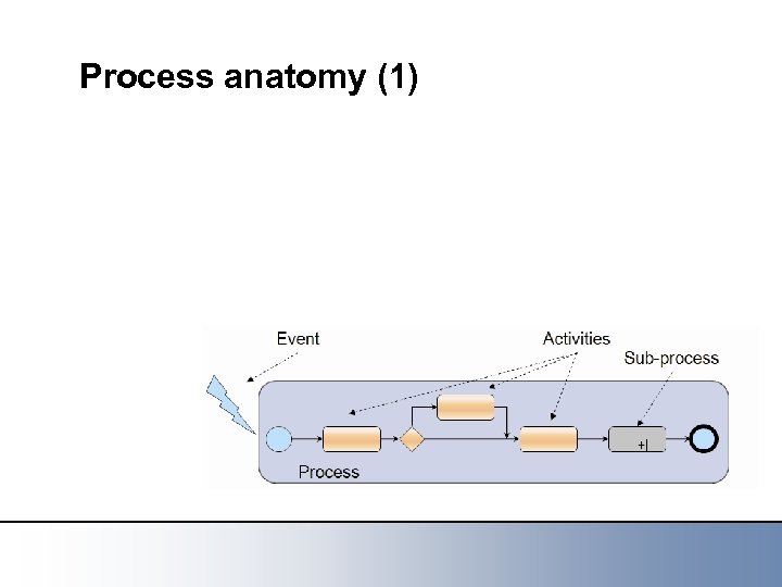 Process anatomy (1) 