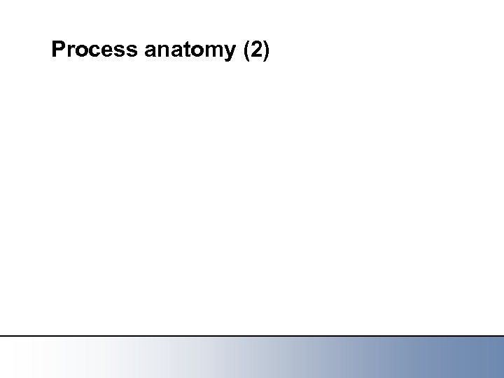 Process anatomy (2) 