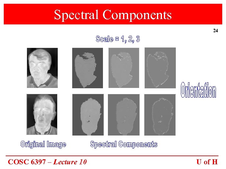 Spectral Components 24 COSC 6397 – Lecture 10 U of H 