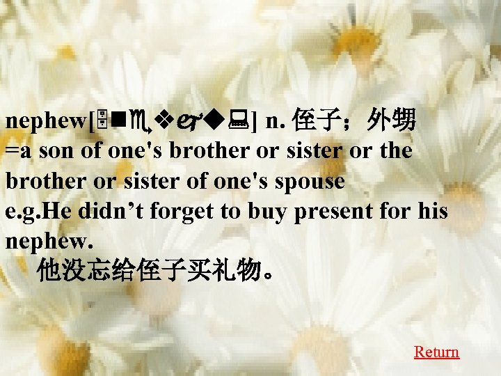 nephew[5 nevju: ] n. 侄子；外甥 =a son of one's brother or sister or the