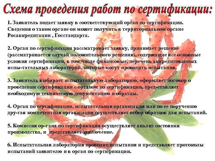 1. Заявитель подает заявку в соответствующий орган по сертификации. Сведения о таком органе он
