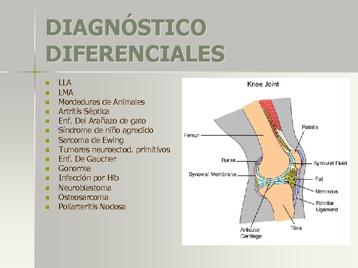 DIAGNÓSTICO DIFERENCIALES n n n n LLA LMA Mordeduras de Animales Artritis Séptica Enf.