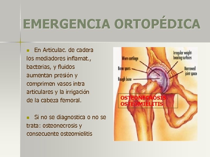 EMERGENCIA ORTOPÉDICA En Articulac. de cadera los mediadores inflamat. , bacterias, y fluidos aumentan