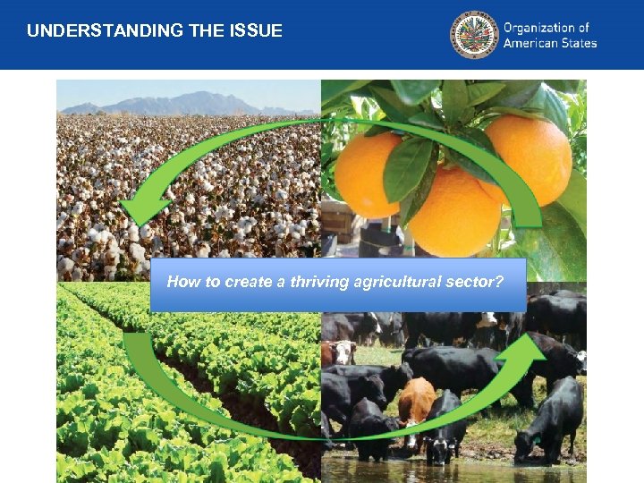 UNDERSTANDING THE ISSUE How to create a thriving agricultural sector? 
