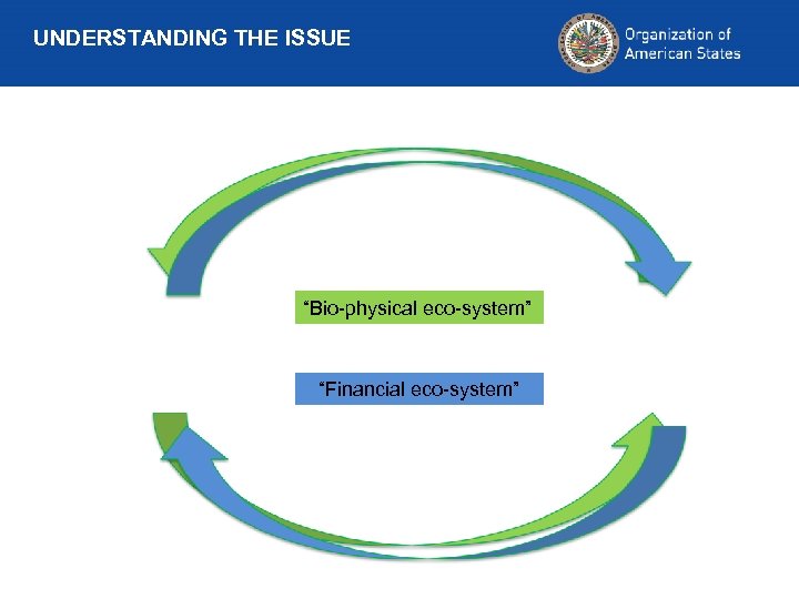 UNDERSTANDING THE ISSUE “Bio-physical eco-system” “Financial eco-system” 