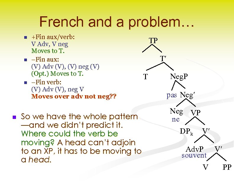 French and a problem… n n +Fin aux/verb: V Adv, V neg Moves to