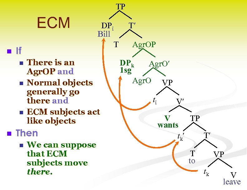 TP ECM n n n There is an Agr. OP and Normal objects generally