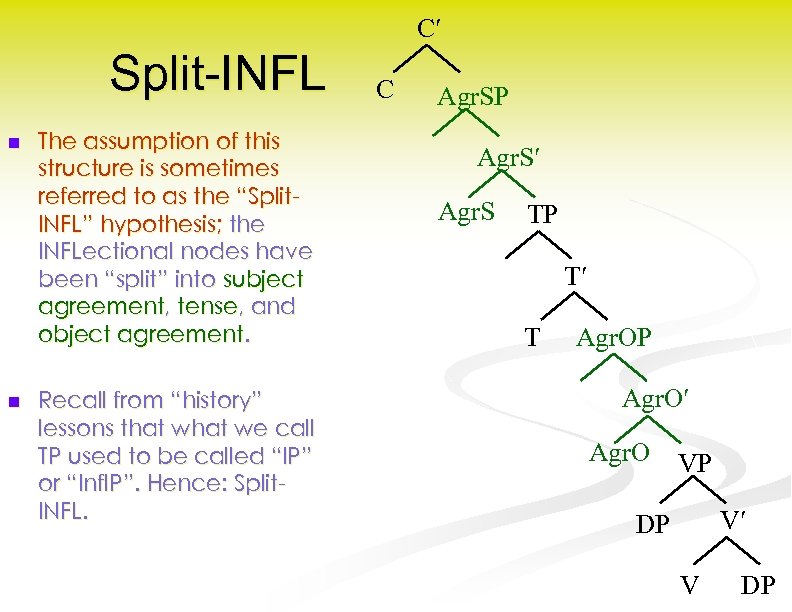C Split-INFL n n The assumption of this structure is sometimes referred to as