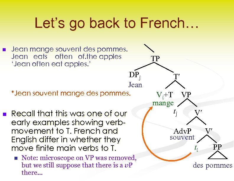 Let’s go back to French… n Jean mange souvent des pommes. Jean eats often