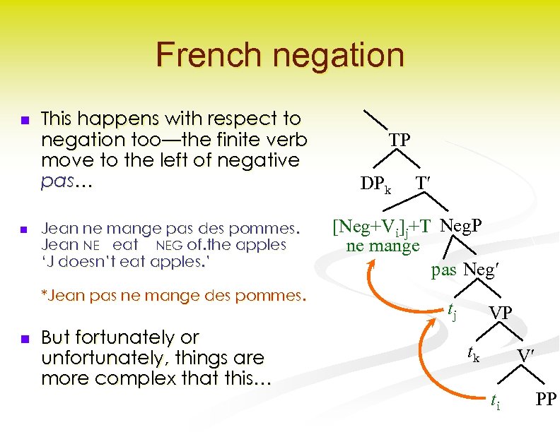 French negation n n This happens with respect to negation too—the finite verb move