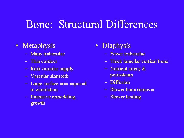 Bone: Structural Differences • Metaphysis – – – Many trabeculae Thin cortices Rich vascular
