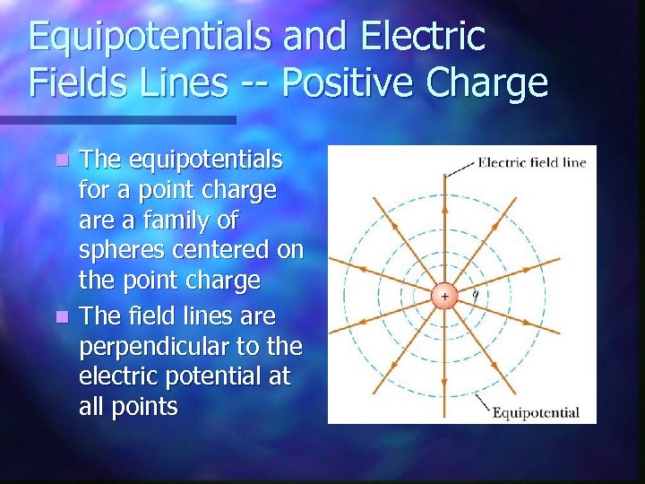 Equipotentials and Electric Fields Lines -- Positive Charge The equipotentials for a point charge