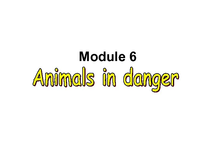 Module 6 