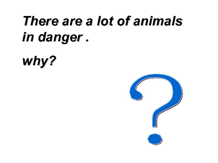 There a lot of animals in danger. why? 
