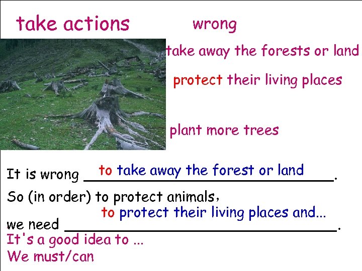 take actions wrong take away the forests or land protect their living places plant