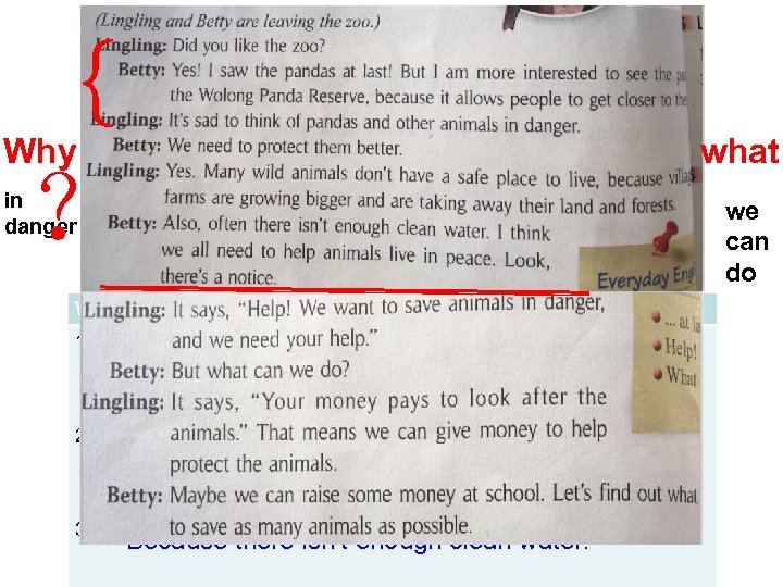 ｛ ？ Why in danger Why many animals are in danger? 1. Because they